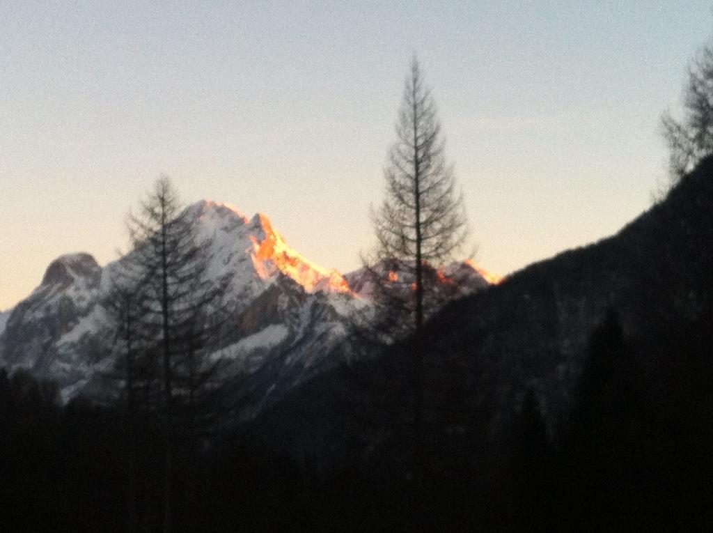 Apartment Ivo Campitello di Fassa